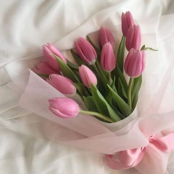 Pink Tulip Bunch